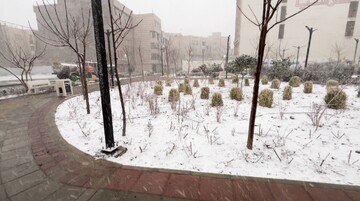 بارش شدید برف زمستانی در فردیس