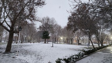 بارش برف در عصر یک روز سرد زمستانی در بجنورد