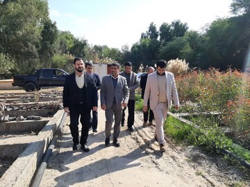 ۷۰۰ هزار اصله نهال در نهالستان شهرستان دهلران تولید شد 