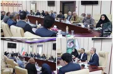 امینی: تسهیلات مناسب برای فعالان حوزه شیلات فراهم شود