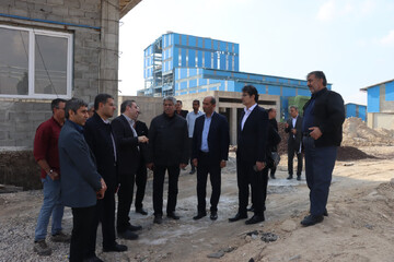 مقاتلی: طرح‌های صنعتی و اشتغال‌زا در دشتی حمایت می شود