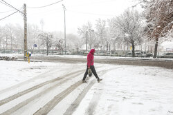 بارش برف در شیراز