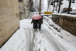 بارش برف و باران چهارشنبه و پنجشنبه در البرز/ تداوم یخبندان صبحگاهی