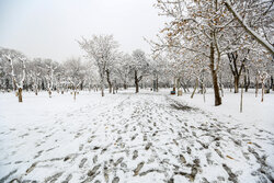 بارش رحمت الهی در روستای سه گنبد