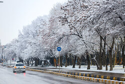 بارش برف در مناطق شهری کاشان