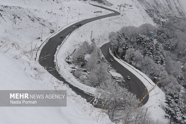 بارش برف در چالوس