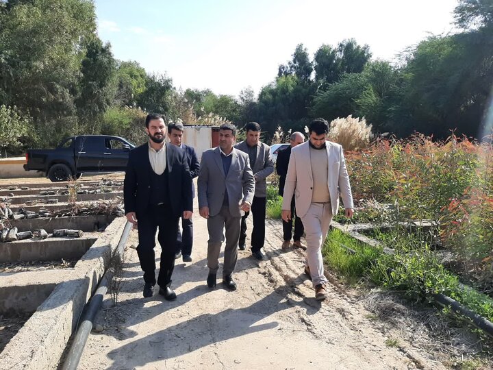 ۷۰۰ هزار اصله نهال در نهالستان شهرستان دهلران تولید شد 