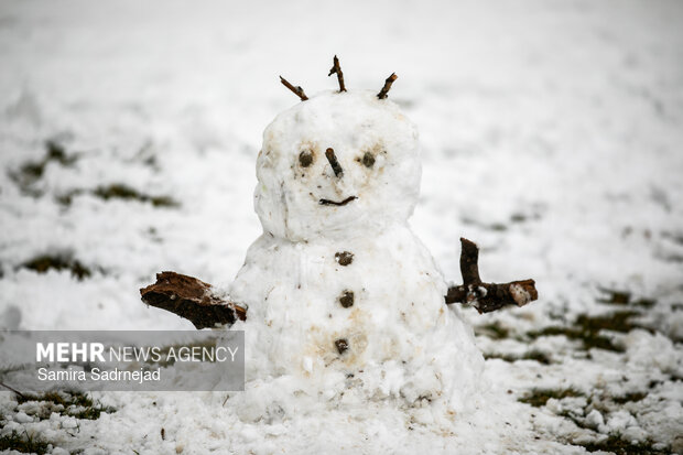 Snowy day in Tehran
