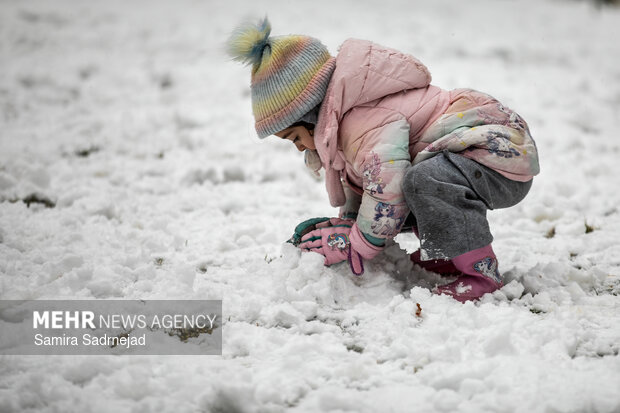 Snowy day in Tehran
