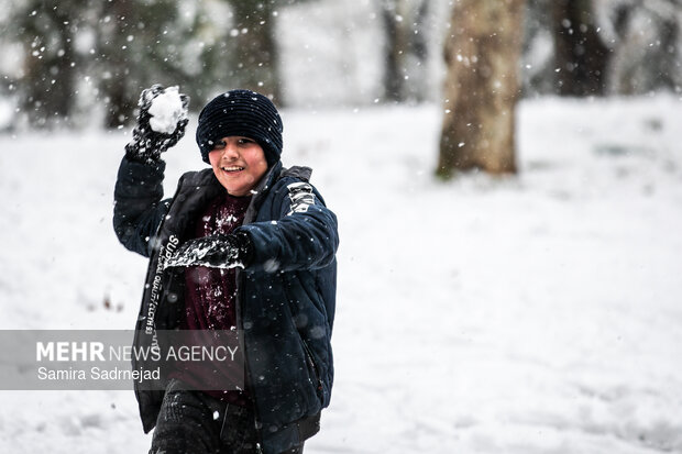 Snowy day in Tehran
