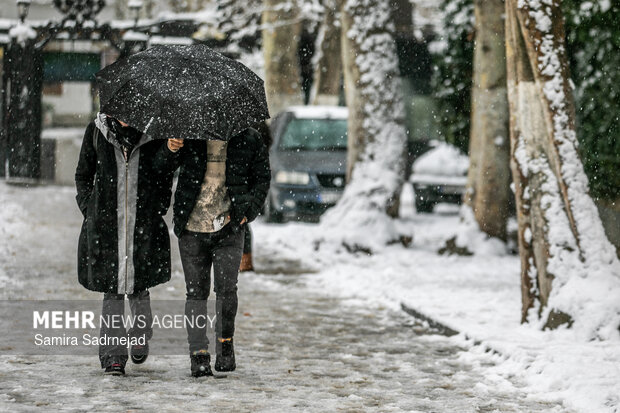 Snowy day in Tehran
