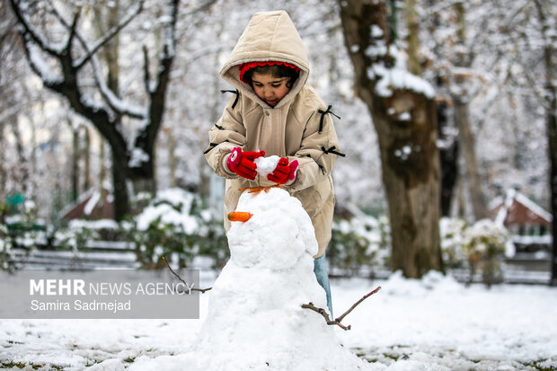 Snowy day in Tehran

