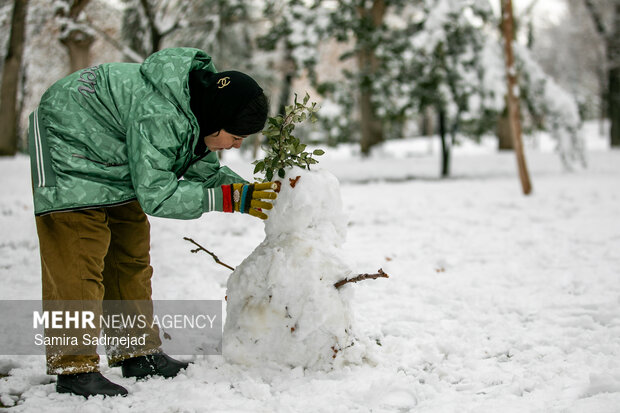 Snowy day in Tehran
