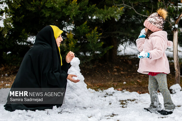 Snowy day in Tehran
