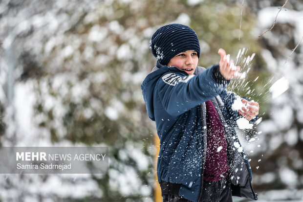 Snowy day in Tehran
