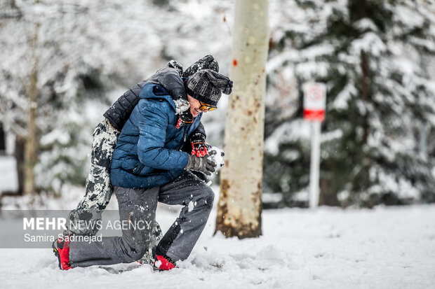 Snowy day in Tehran
