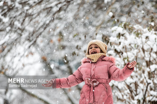Snowy day in Tehran
