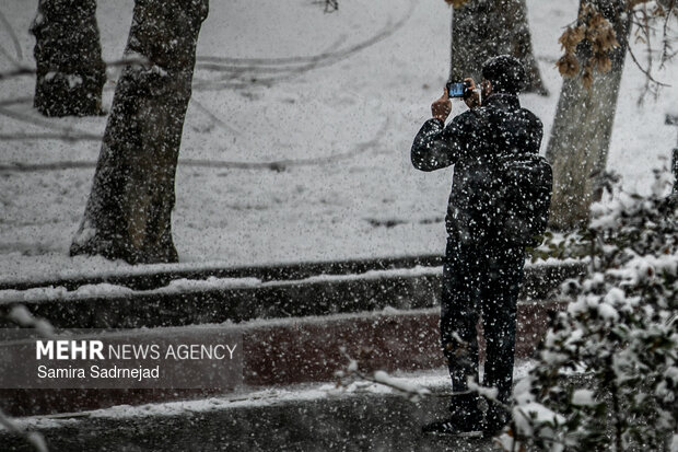 Snowy day in Tehran
