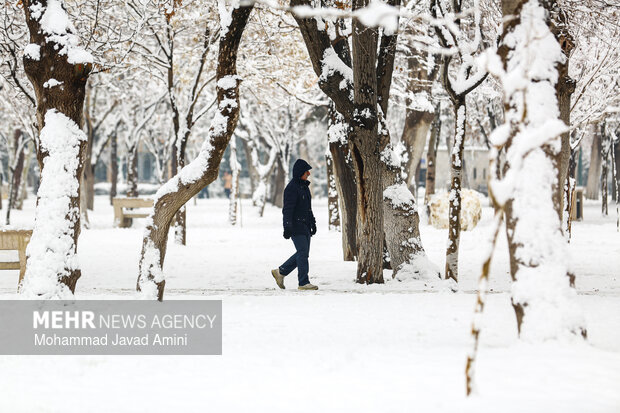 بارش برف در قزوین