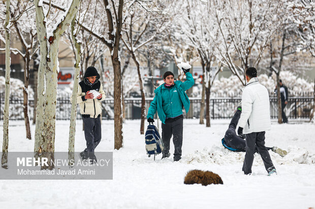 بارش برف در قزوین