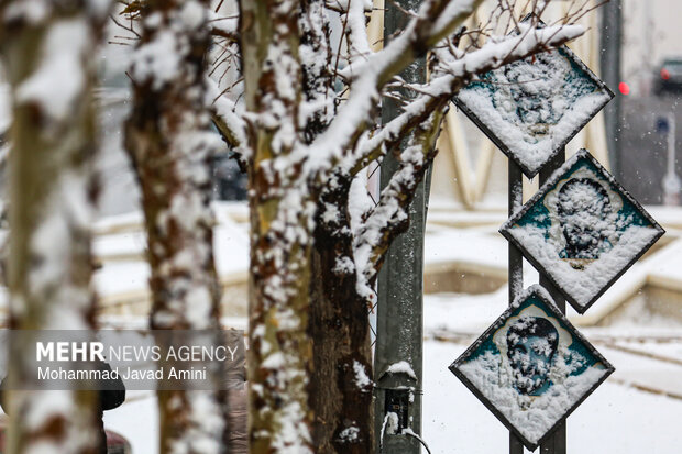 بارش برف در قزوین