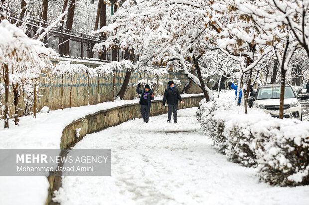 بارش برف در قزوین
