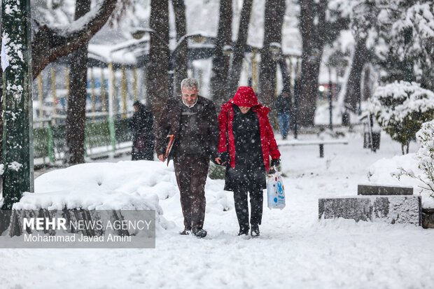 بارش برف در قزوین