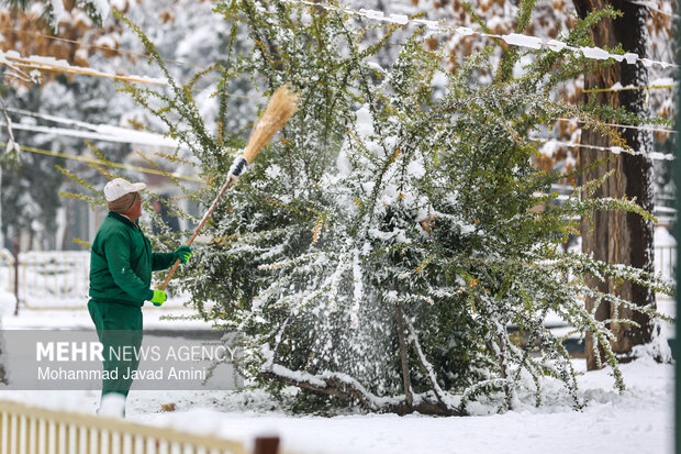 بارش برف در قزوین
