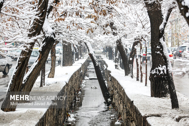 بارش برف در قزوین