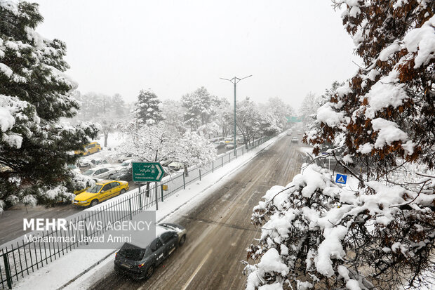 بارش برف در قزوین