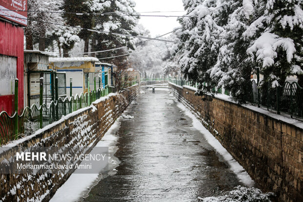بارش برف در قزوین