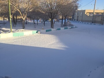 آغاز اولین روز بهمن با بارش برف در یزد