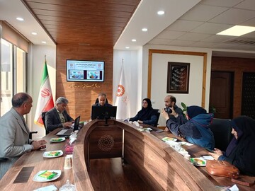 طرح«سلام» با هدف توانمندسازی محلات در خراسان جنوبی اجرا می شود