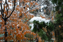 رحمان نیا: هشدار سطح نارنجی هواشناسی در استان زنجان صادر شد