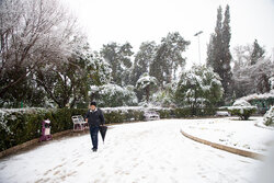 بارش برف در روستای گلی بجنورد