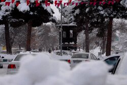 بارش برف در روستای چری فاروج