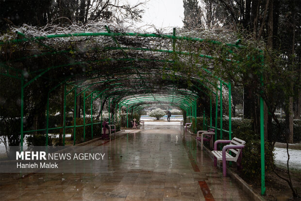بارش اولین برف زمستانی در گرگان