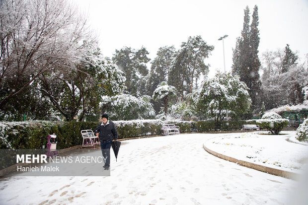 بارش اولین برف زمستانی در گرگان