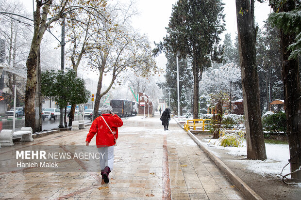 بارش اولین برف زمستانی در گرگان