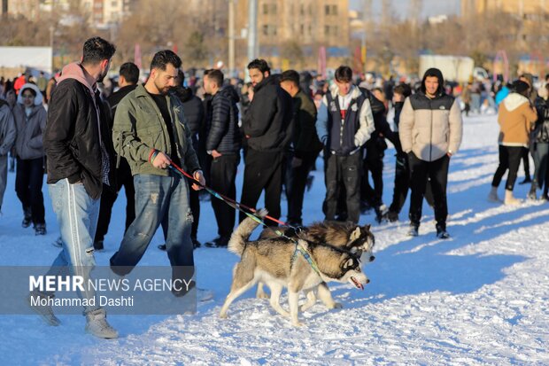 Erdebil'de kar festivali