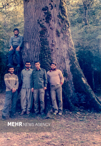 سردار شهید محمد باقری