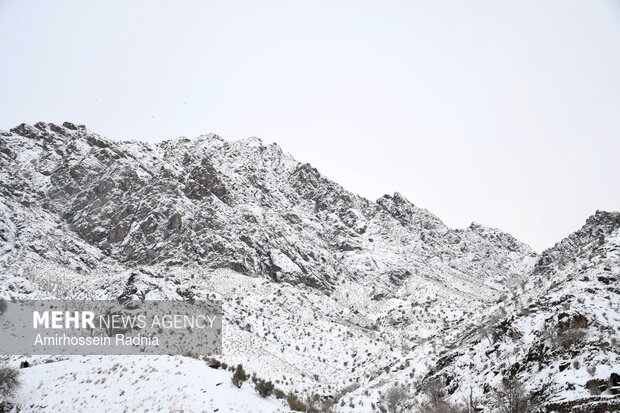 بارش هفت سانتیمتری برف در کویر؛ یخبندان ادامه دارد بارش هفت سانتیمتری برف در کویر؛ یخبندان ادامه دارد