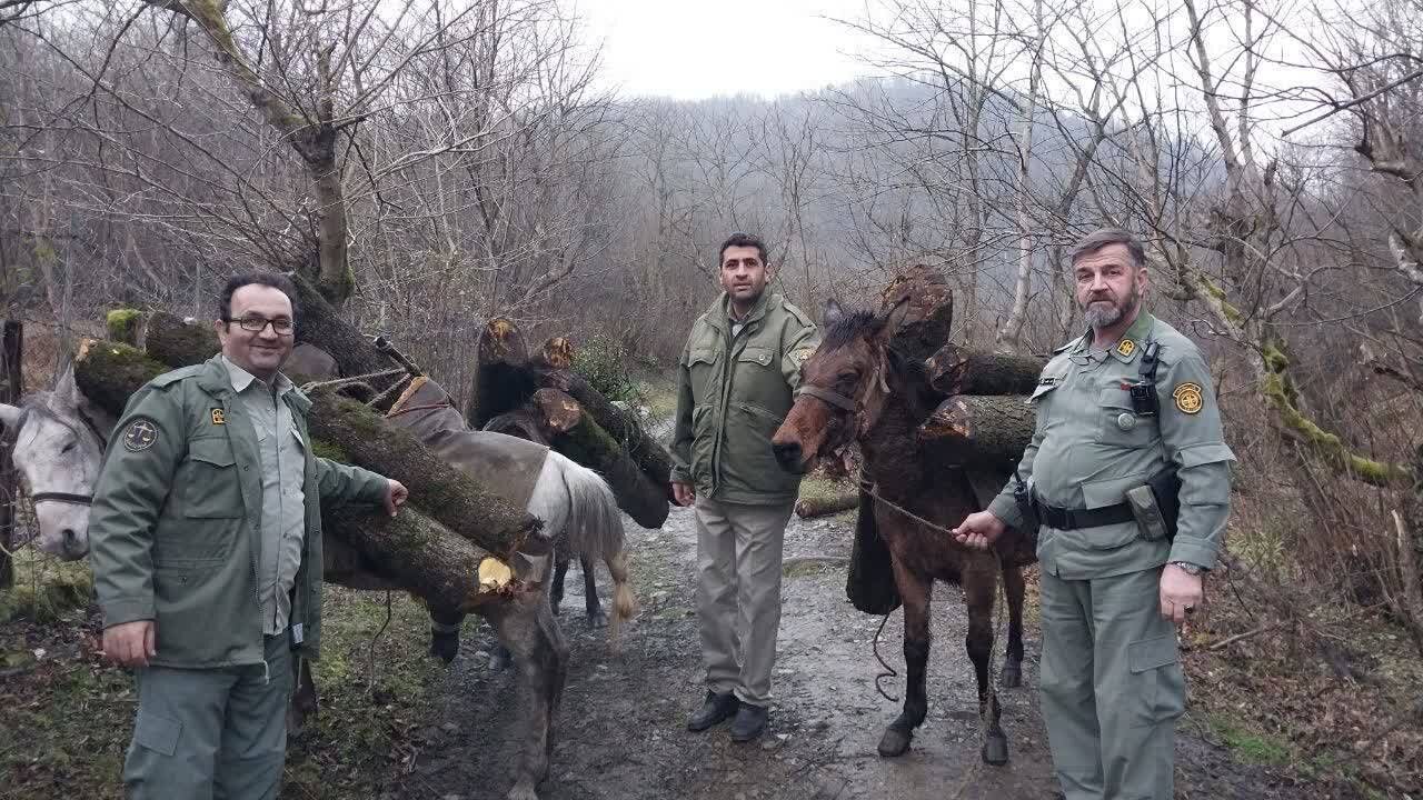 خودکار: باند قاچاق چوب در قلب جنگلهای حفاظتشده تالش متلاشی شد خودکار: باند قاچاق چوب در قلب جنگلهای حفاظتشده تالش متلاشی شد