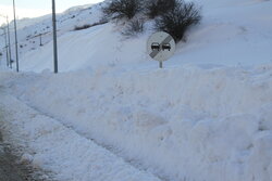 برنج‌آباد مهربان  در آغوش برف یک‌متری