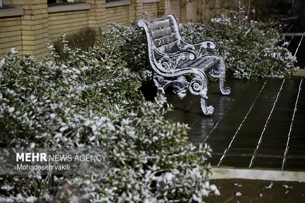 شب برفی زاهدان