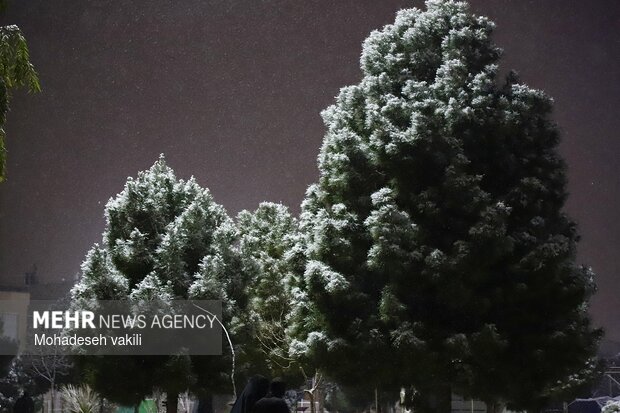 شب برفی زاهدان