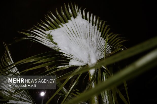 شب برفی زاهدان