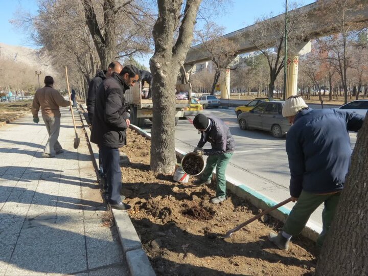چالکود زمستانه؛ راهکار تقویت و حفظ فضای سبز کرمانشاه