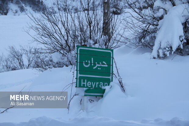 حریر سفید برف بر تن حیران