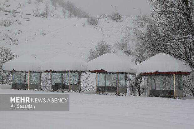 داداشی: بارش پراکنده برف در خراسان شمالی پیشبینی میشود داداشی: بارش پراکنده برف در خراسان شمالی پیشبینی میشود